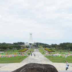 トリップアドバイザー提供