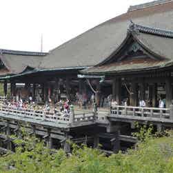 トリップアドバイザー提供