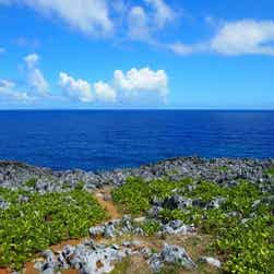 トリップアドバイザー提供