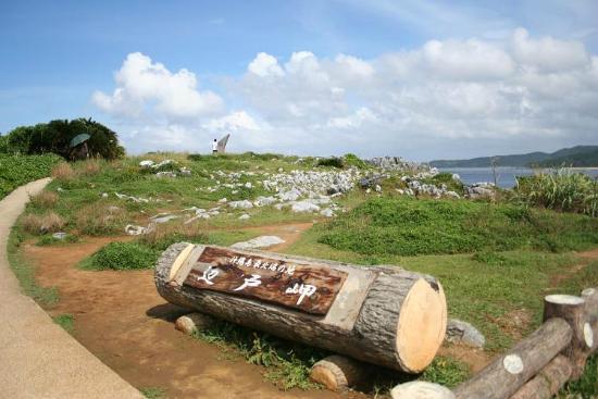 トリップアドバイザー提供