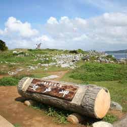 トリップアドバイザー提供