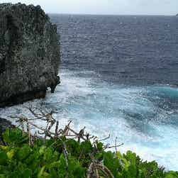 トリップアドバイザー提供