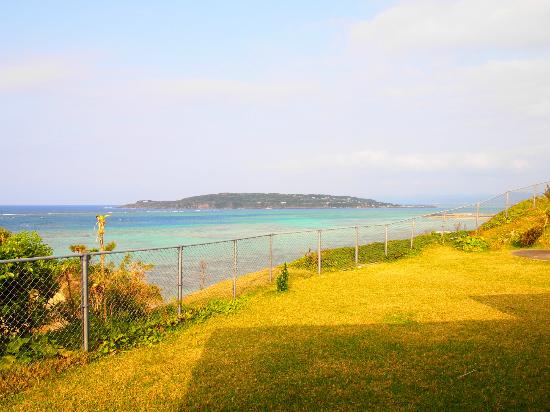 トリップアドバイザー提供