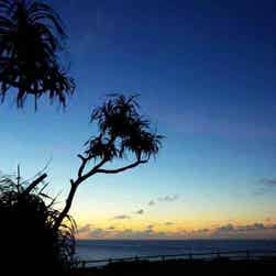 トリップアドバイザー提供