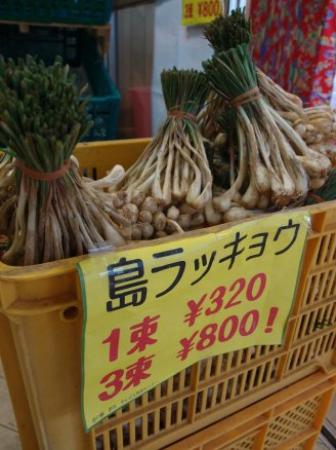 トリップアドバイザー提供