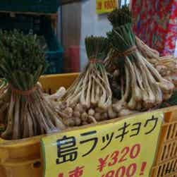 トリップアドバイザー提供