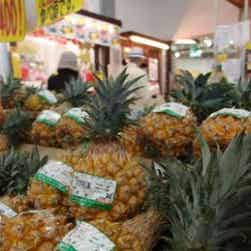 トリップアドバイザー提供