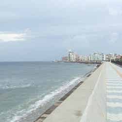 トリップアドバイザー提供