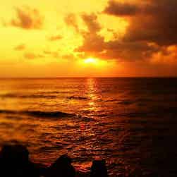 トリップアドバイザー提供