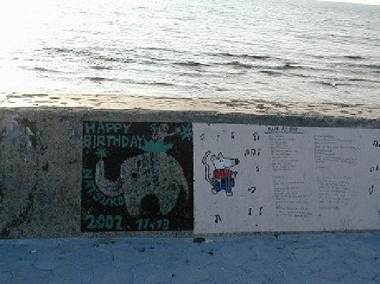 トリップアドバイザー提供