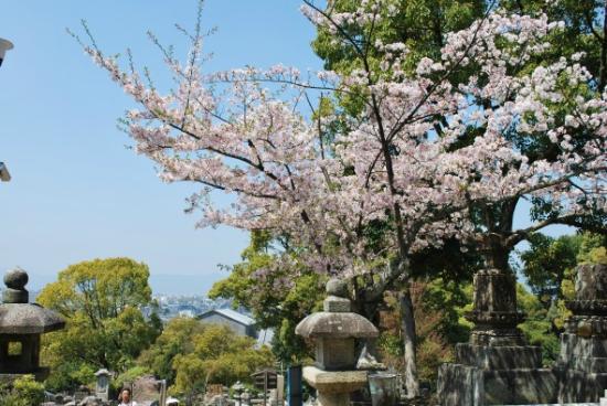 トリップアドバイザー提供