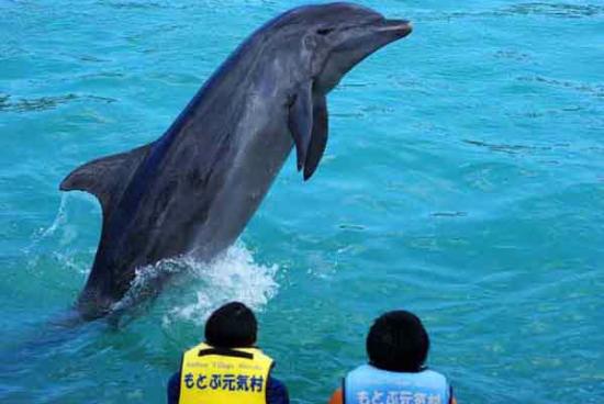 トリップアドバイザー提供