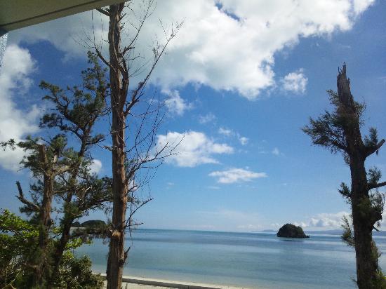 トリップアドバイザー提供