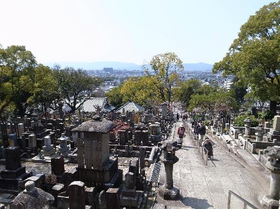 トリップアドバイザー提供