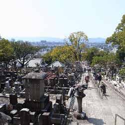 トリップアドバイザー提供