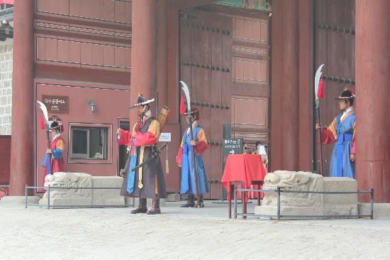 トリップアドバイザー提供