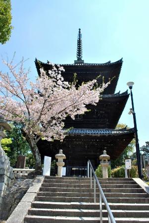 トリップアドバイザー提供