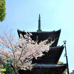 トリップアドバイザー提供