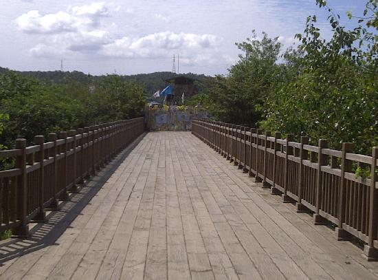 トリップアドバイザー提供