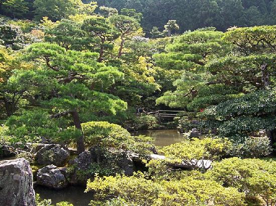 トリップアドバイザー提供