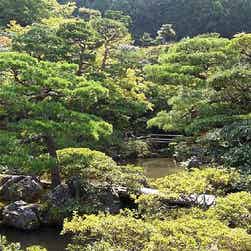 トリップアドバイザー提供