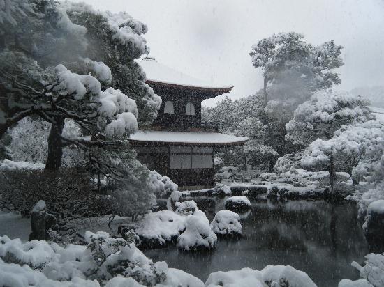 トリップアドバイザー提供