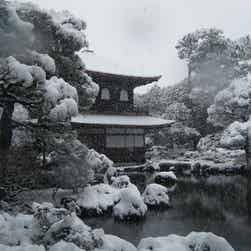 トリップアドバイザー提供