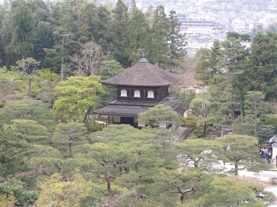 トリップアドバイザー提供