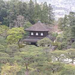 トリップアドバイザー提供