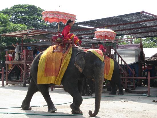 トリップアドバイザー提供