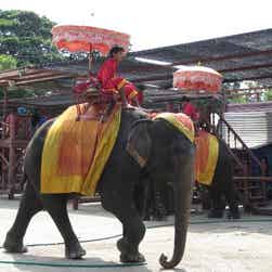 トリップアドバイザー提供