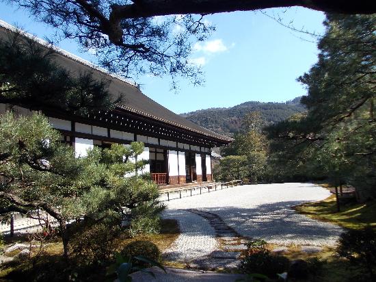 トリップアドバイザー提供