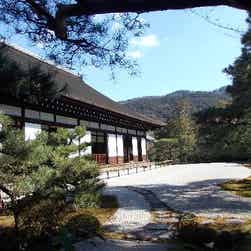 トリップアドバイザー提供