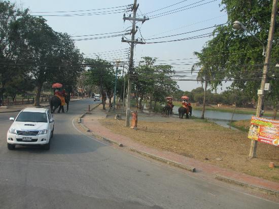トリップアドバイザー提供