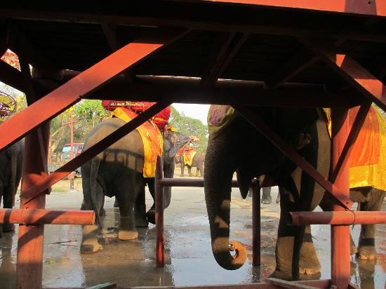 トリップアドバイザー提供