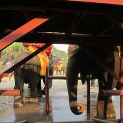 トリップアドバイザー提供