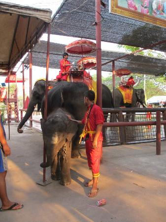 トリップアドバイザー提供