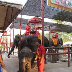 トリップアドバイザー提供