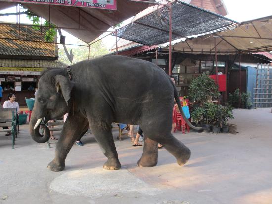 トリップアドバイザー提供