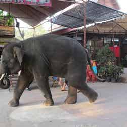 トリップアドバイザー提供