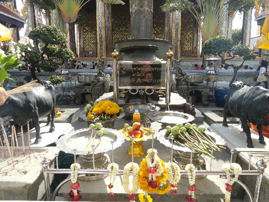 トリップアドバイザー提供