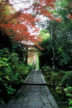 トリップアドバイザー提供