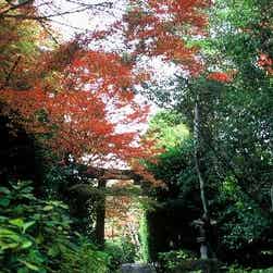 トリップアドバイザー提供