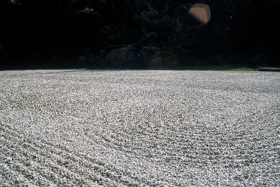 トリップアドバイザー提供