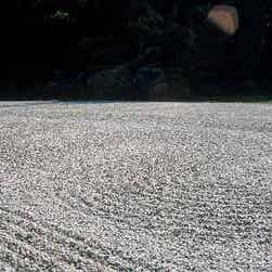 トリップアドバイザー提供