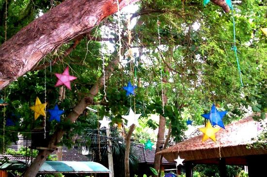 トリップアドバイザー提供