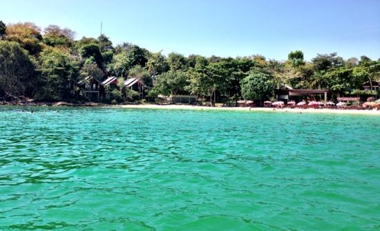 トリップアドバイザー提供