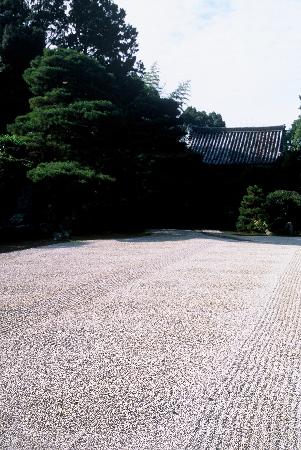 トリップアドバイザー提供