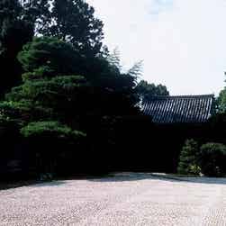 トリップアドバイザー提供