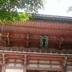 トリップアドバイザー提供